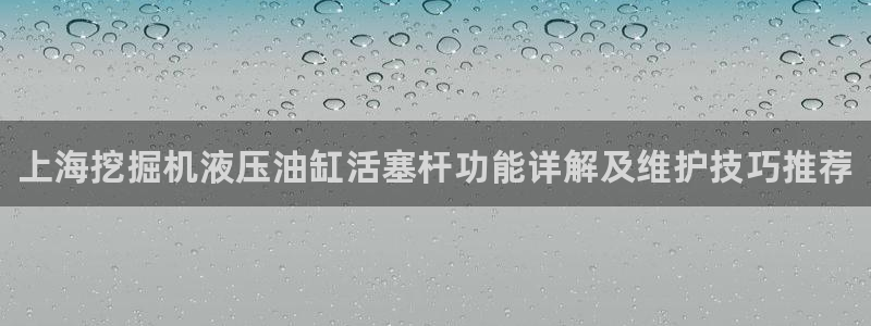 腾博官网诚信为本,专业服务苹果手机下载赛富乐斯